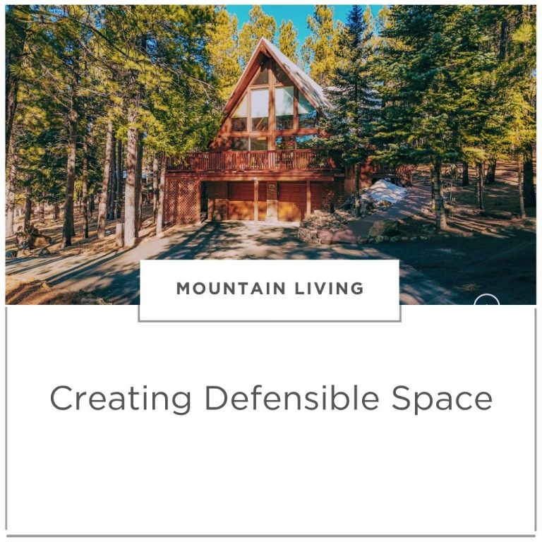 Coffee Chat | Defensible Space